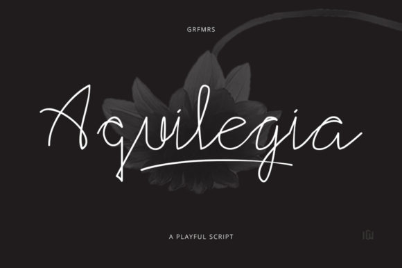 Aquilegia Font: Elegant Script for Digital Marketing