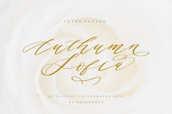 Authumn Sofia Font: Elevating Boutique Brand Identity