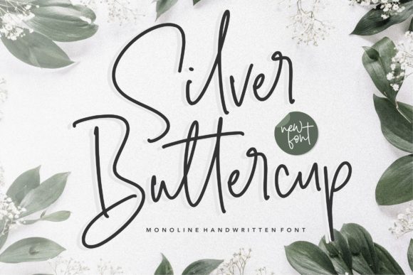 Silver Buttercup Font: Elegant Script for Brand Identity