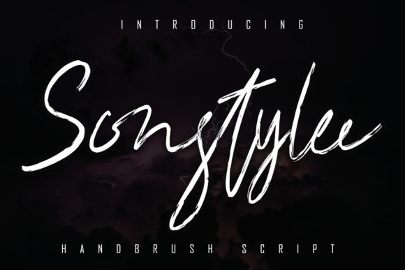Sonstylee Font Review: A Relaxed Script for Branding