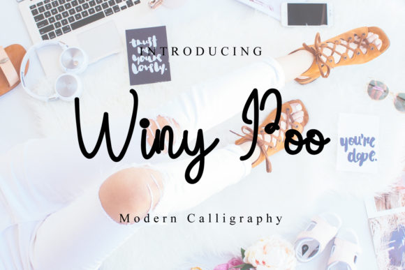 Winy Poo Font: Clean Handwritten Type for Campaigns